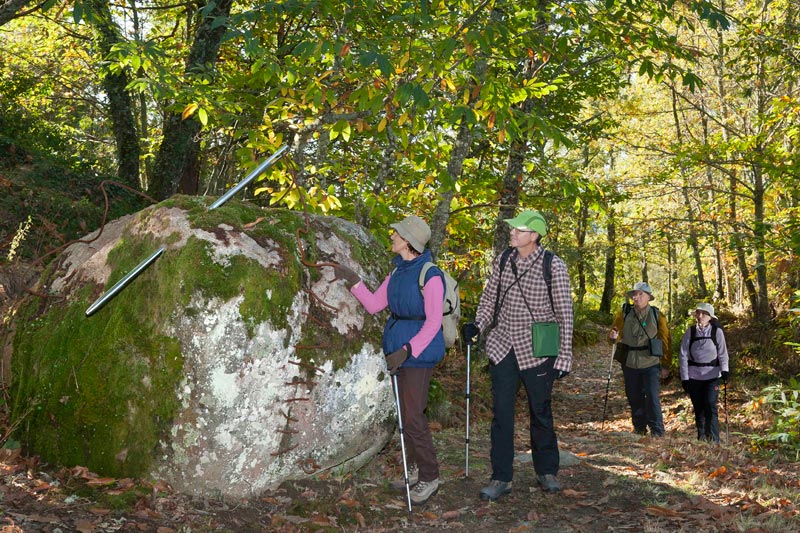 Caminos de Arte en la Naturaleza