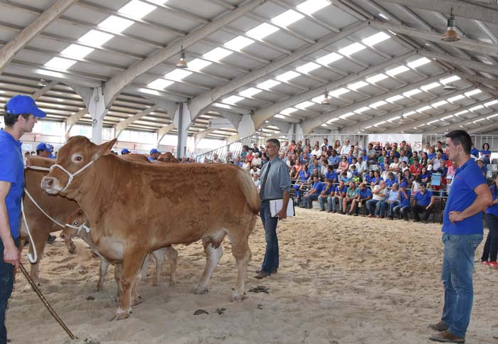 Exposición Internacional de Ganado Puro