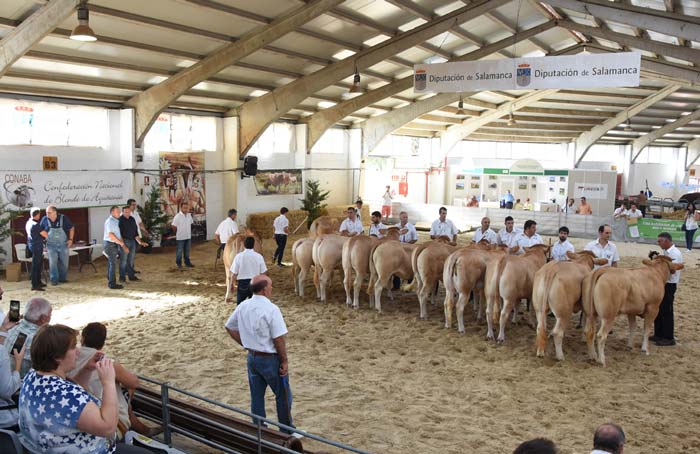Exposición Internacional de Ganado Puro