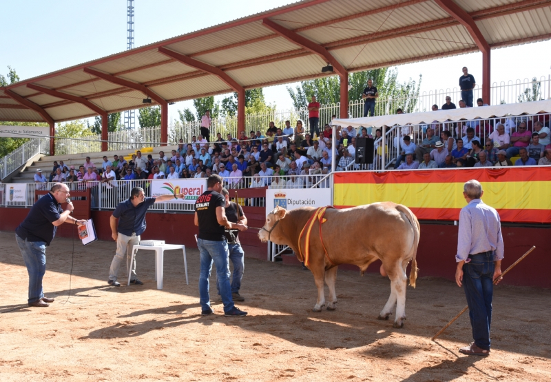 Exposición Internacional de ganado puro