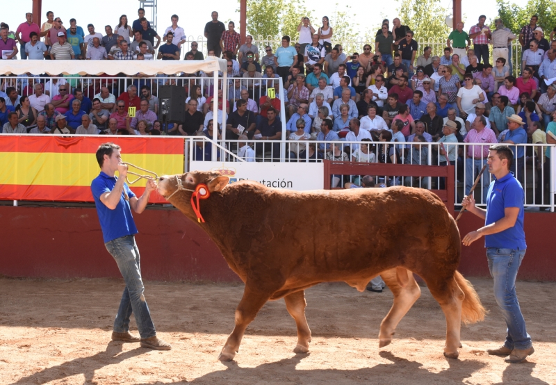 Exposición Internacional de ganado puro