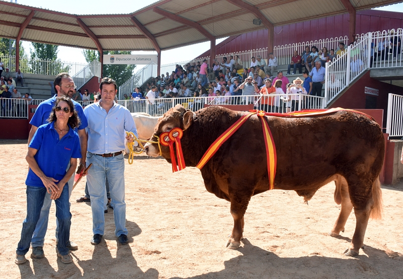 Exposición Internacional de ganado puro