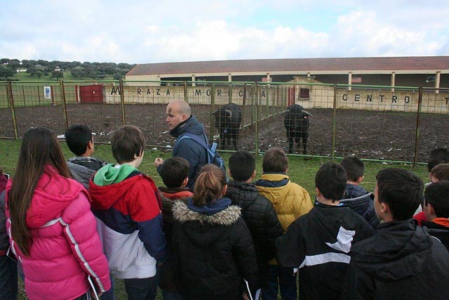 Visita de escolares a Castro Enríquez