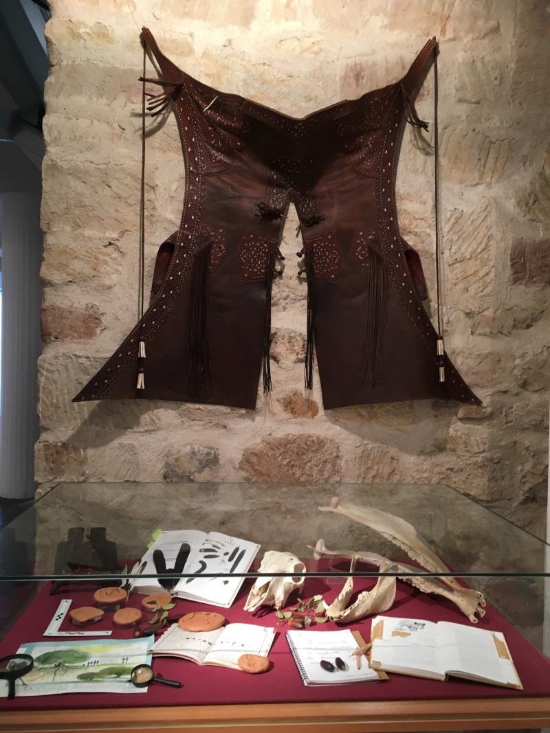 Exposición Vive la Dehesa 2018.