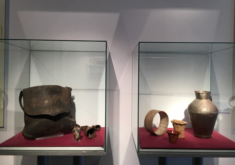 Exposición Vive la Dehesa 2018